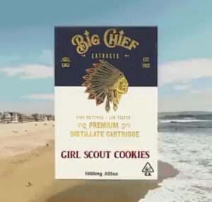 BIG CHIEF GIRL SCOUT COOKIES