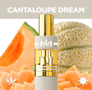 CANTALOUPE HAZE